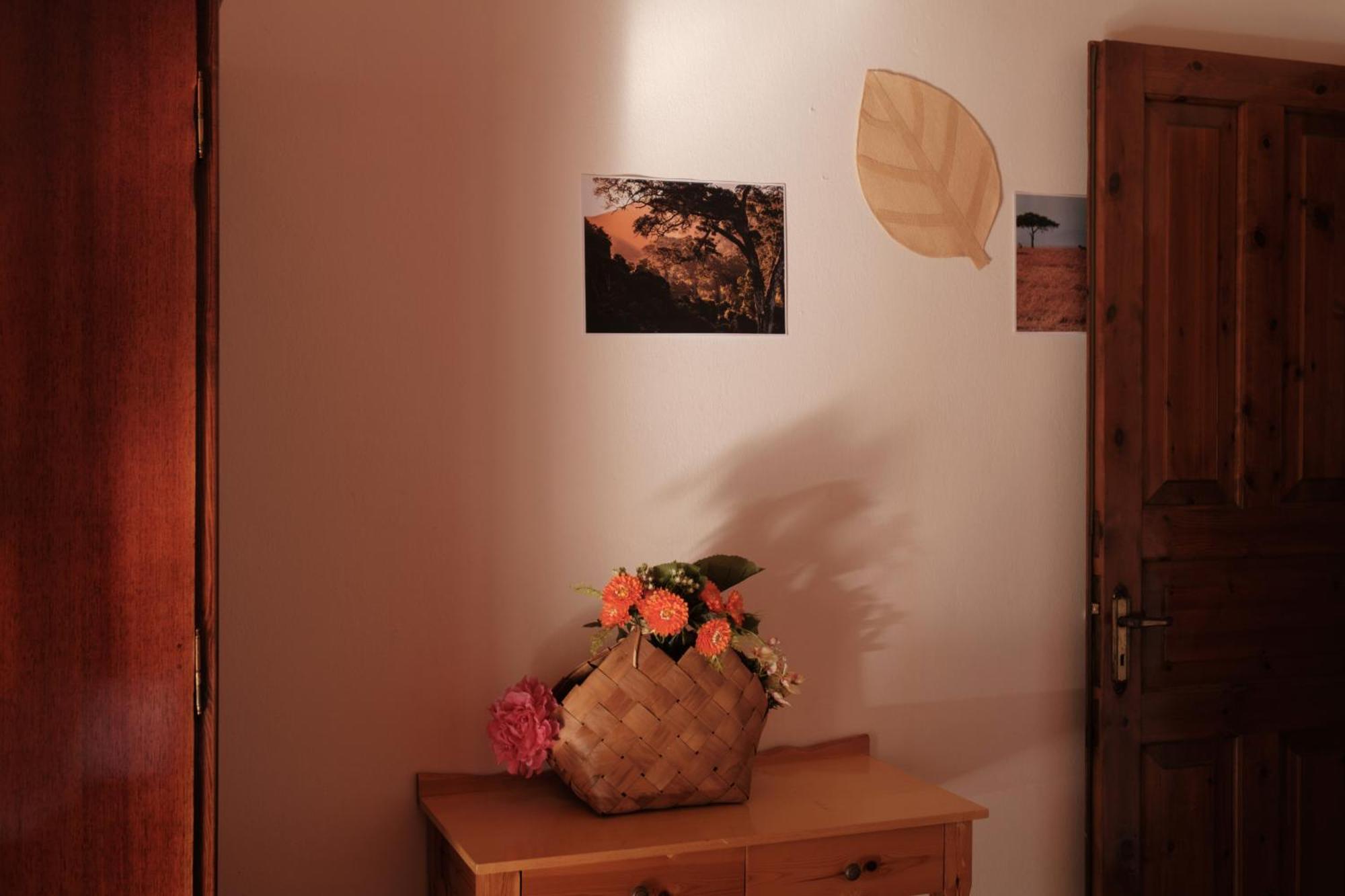 Serengeti Nap Comfy Rooms Sidari  Ruang foto